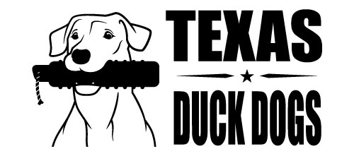 South Texas Gun Dogs
