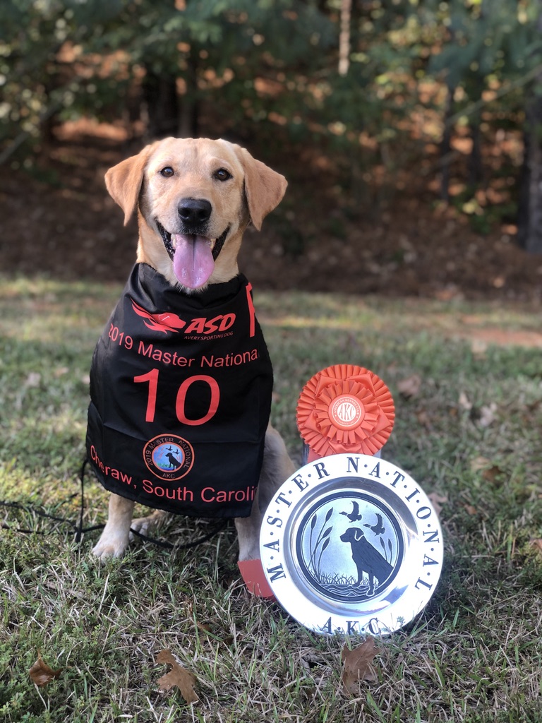 Master National Rosco