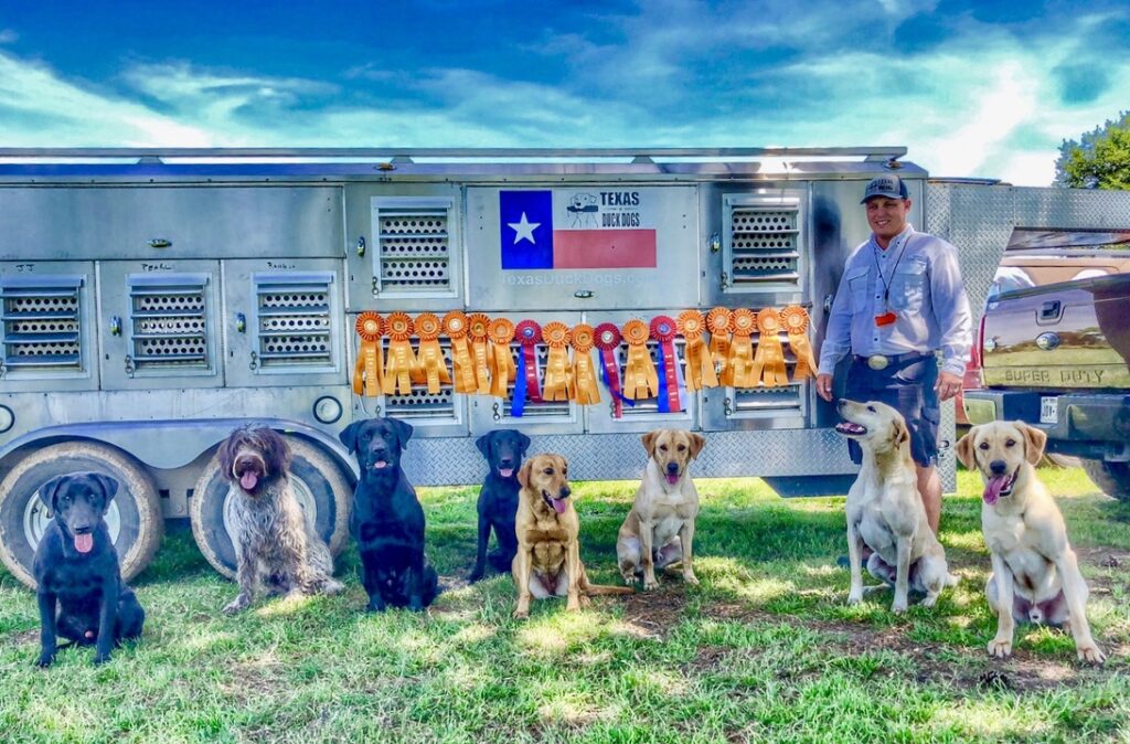 AKC Hunt Test Results