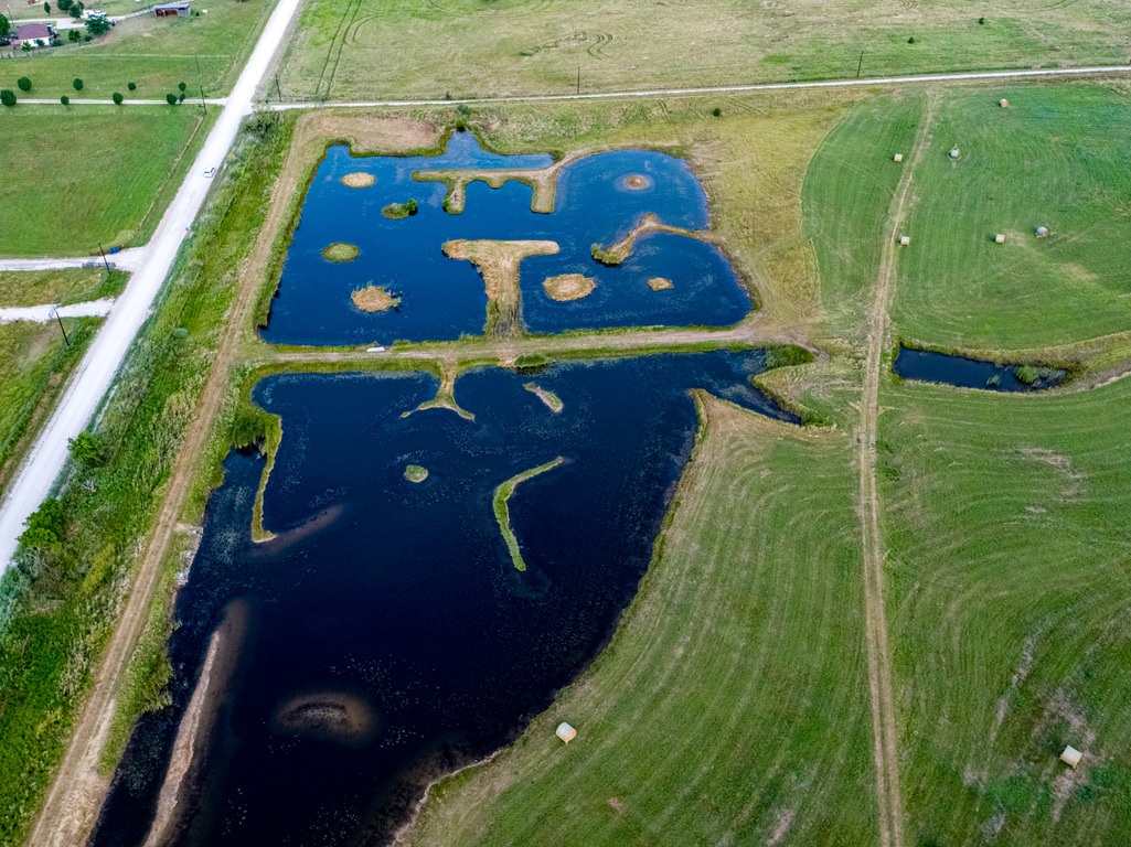 Hunt Test Training Gorunds